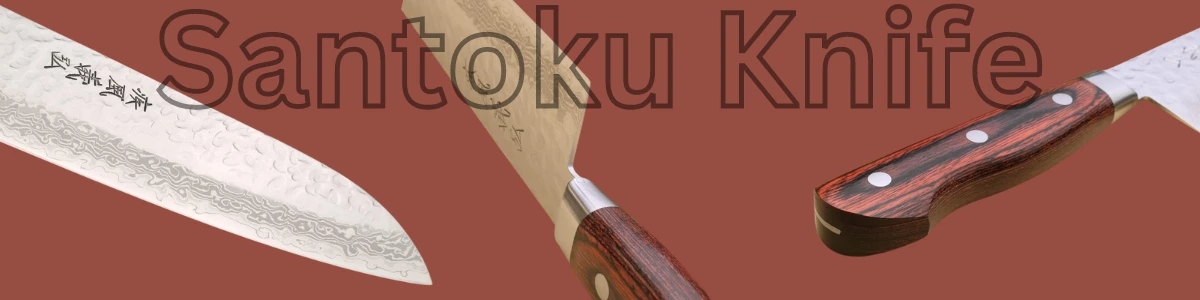 Santoku vs Gyuto Knife: What's The Differences - japanese knives